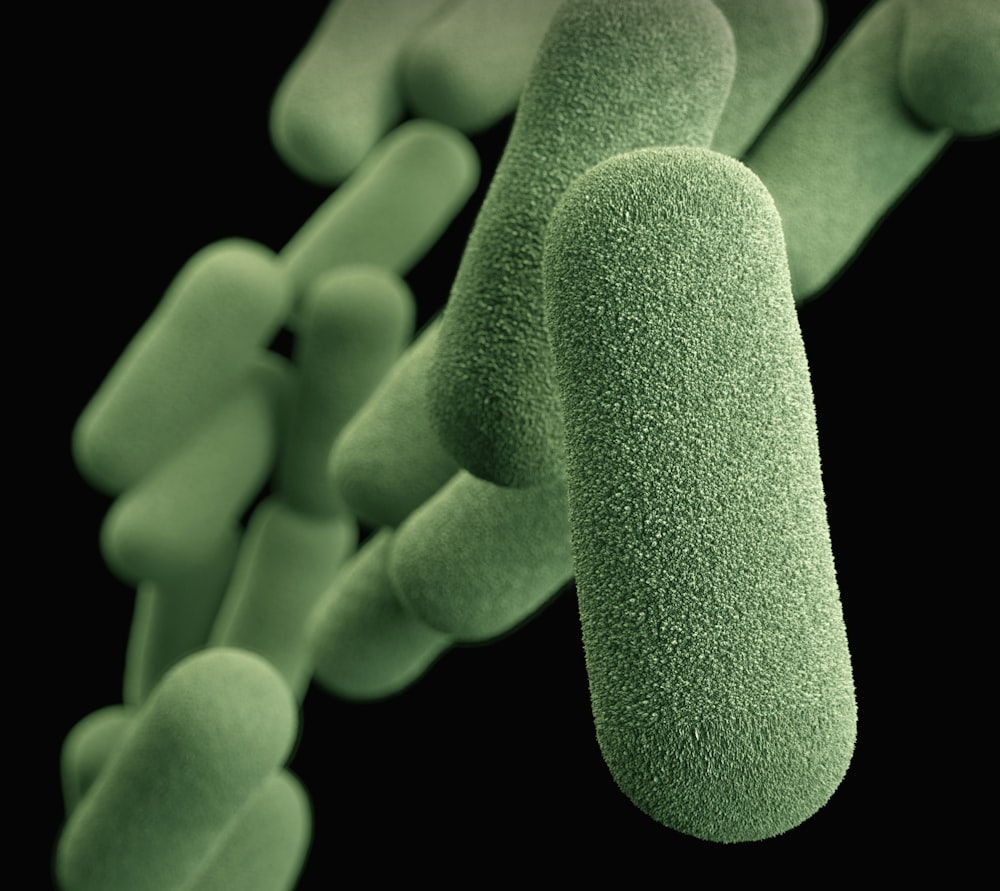 a close up of a green substance with a black background