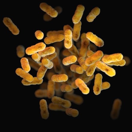 A cluster of orange, cylindrical microorganisms or bacteria against a black background, appearing three-dimensional with shadows and depth.