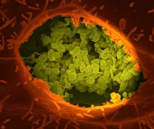 a close up of a cell with a lot of green stuff in it