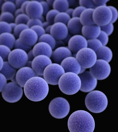 Methicillin-resistant Staphylococcus aureus (MRSA)