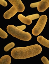 a close up of a cell phone with a black background