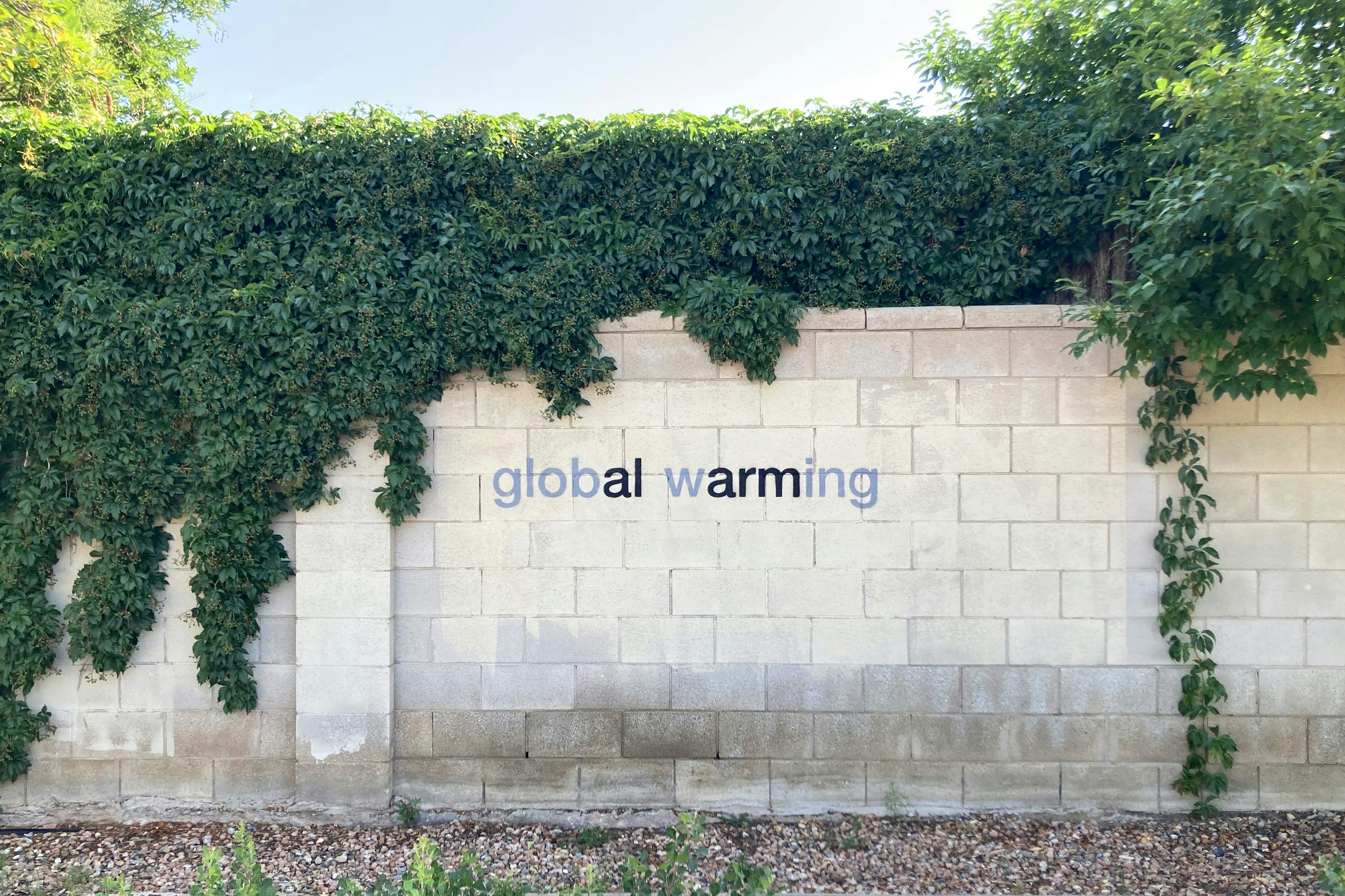 a wall covered in vines with the word global warming written on it