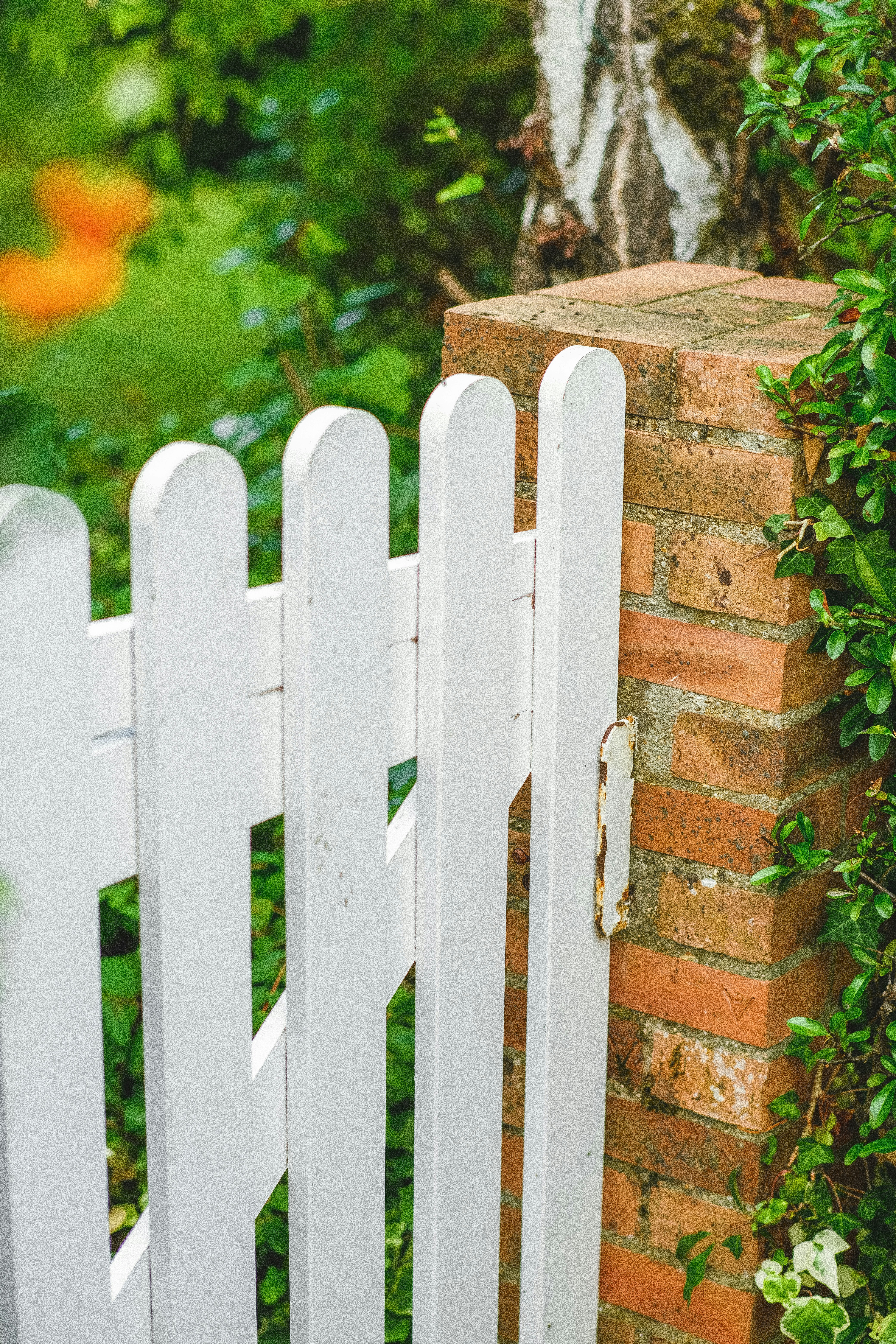 5 High-Tech Fence Care Maintenance Tools Every Homeowner Should Try