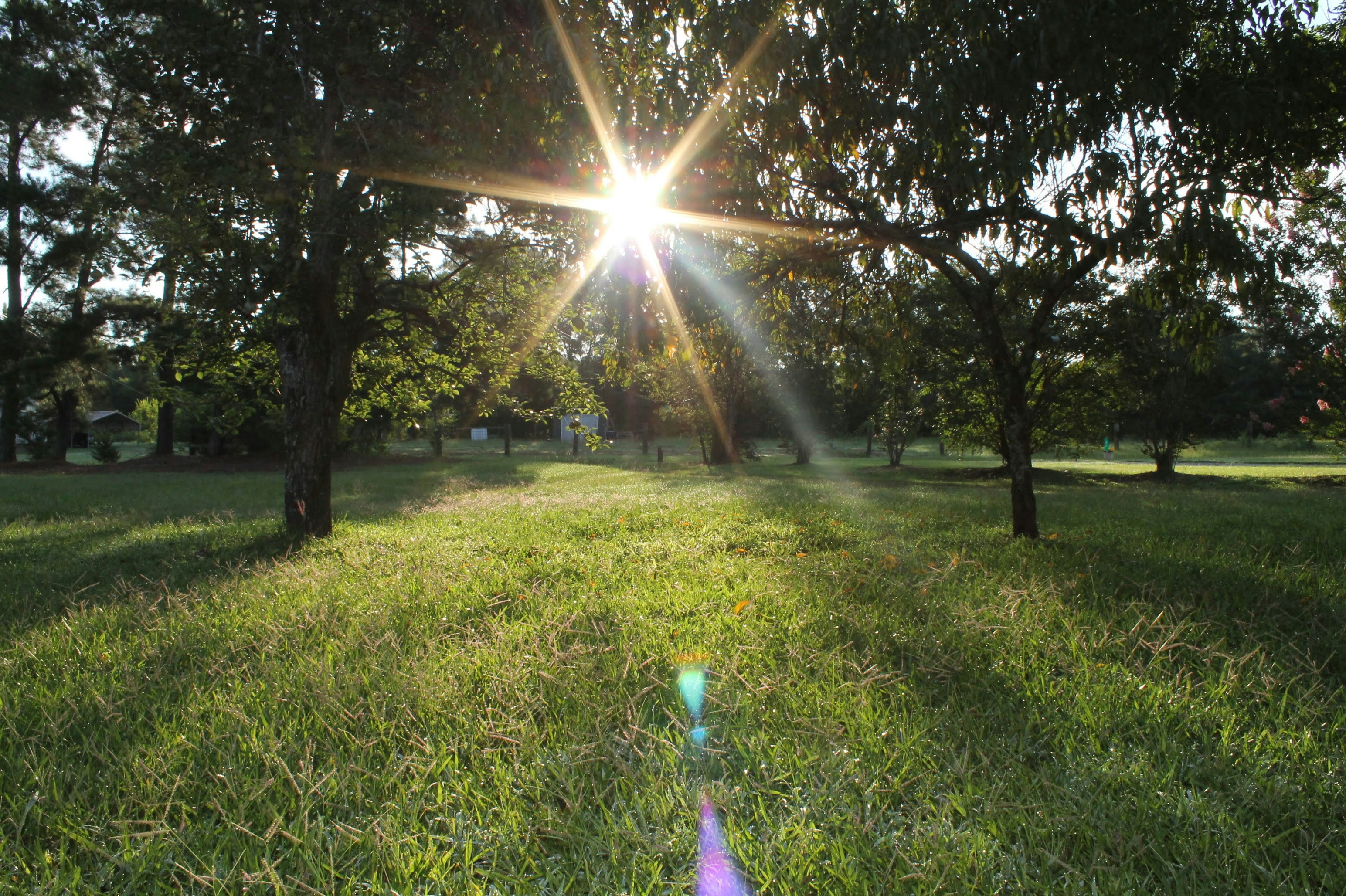 Photo by therestlesswriter