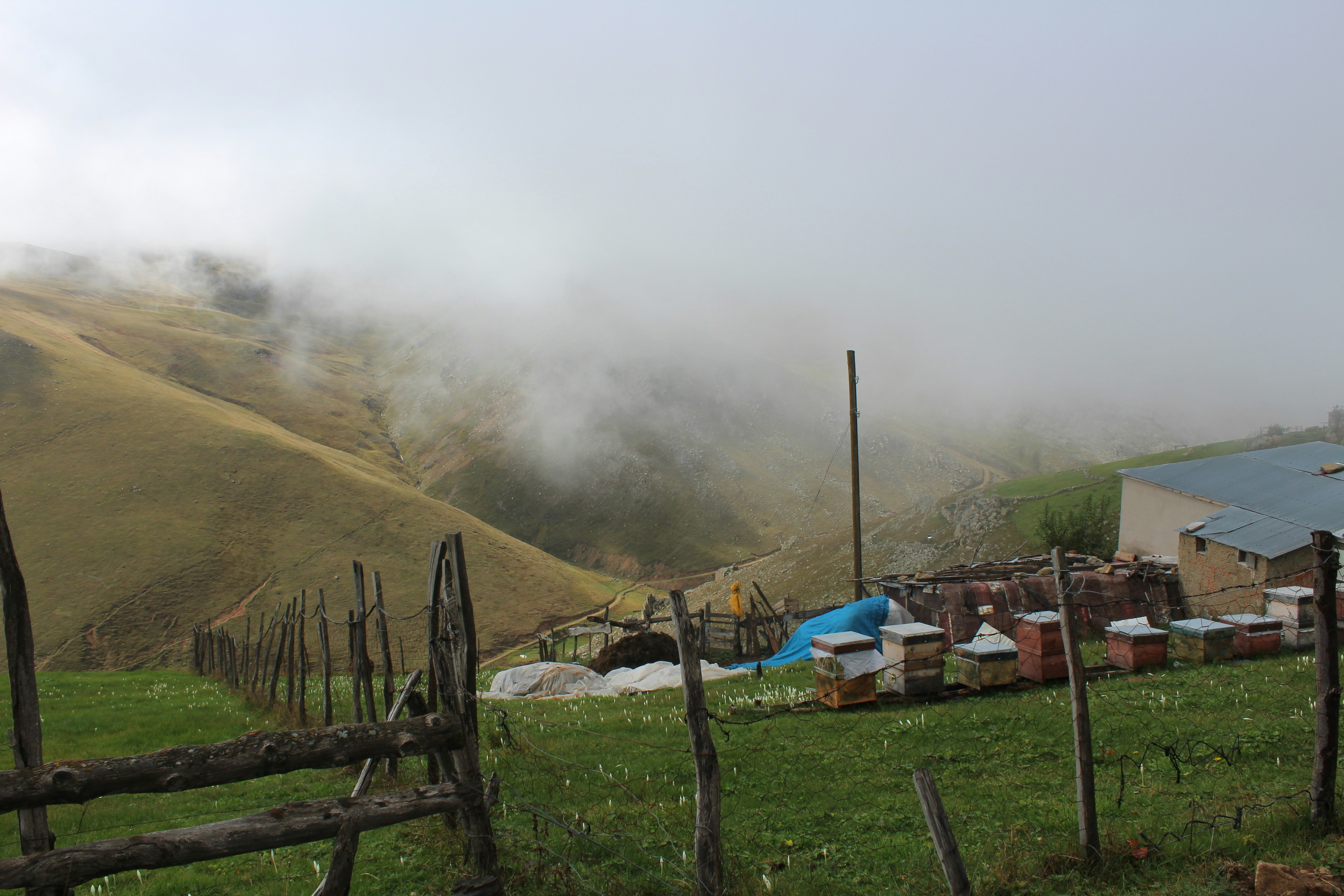 Photo by ademsaidkocadag