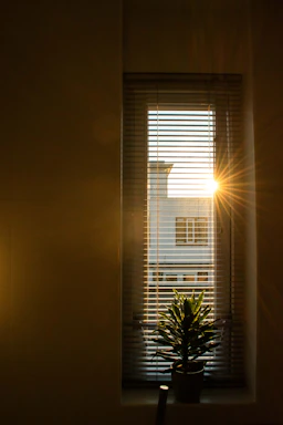 the sun shining through a window with a potted plant in front of it