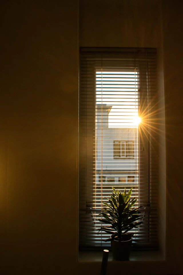 Sol atravesando la ventana sobre una maceta