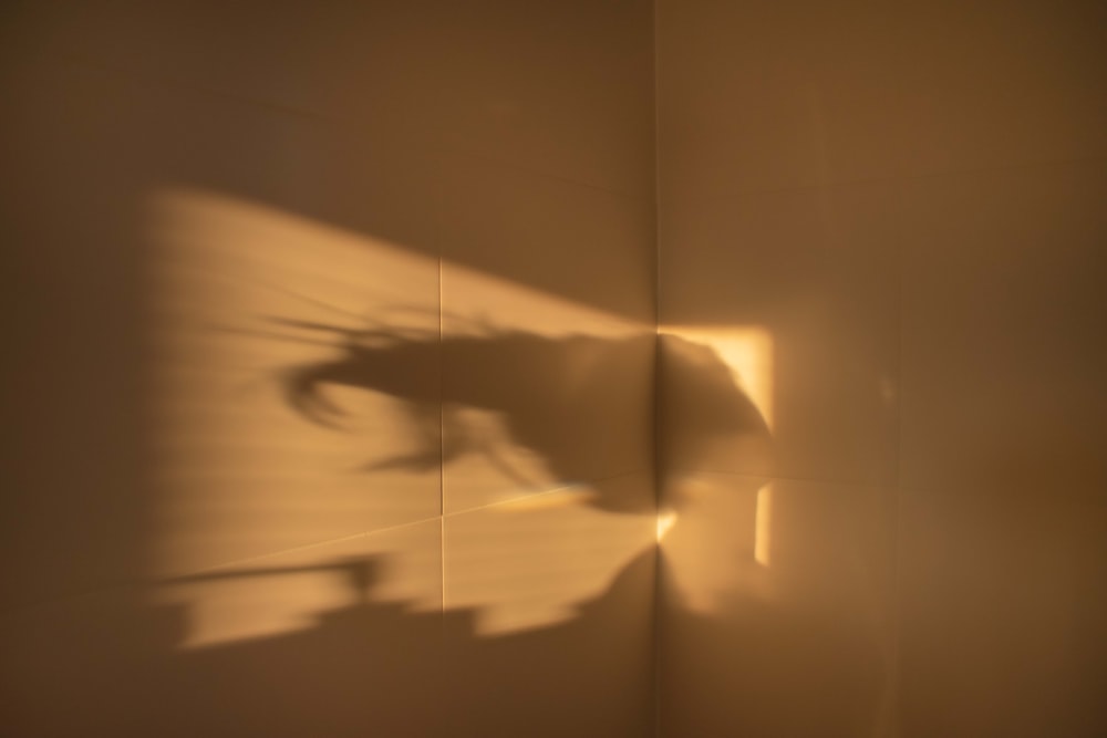 a shadow of a horse on a wall