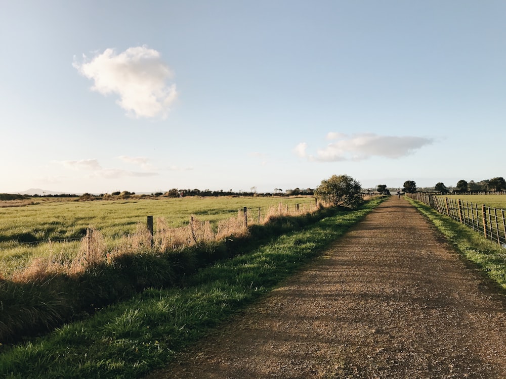 a dirt road with a field in the background