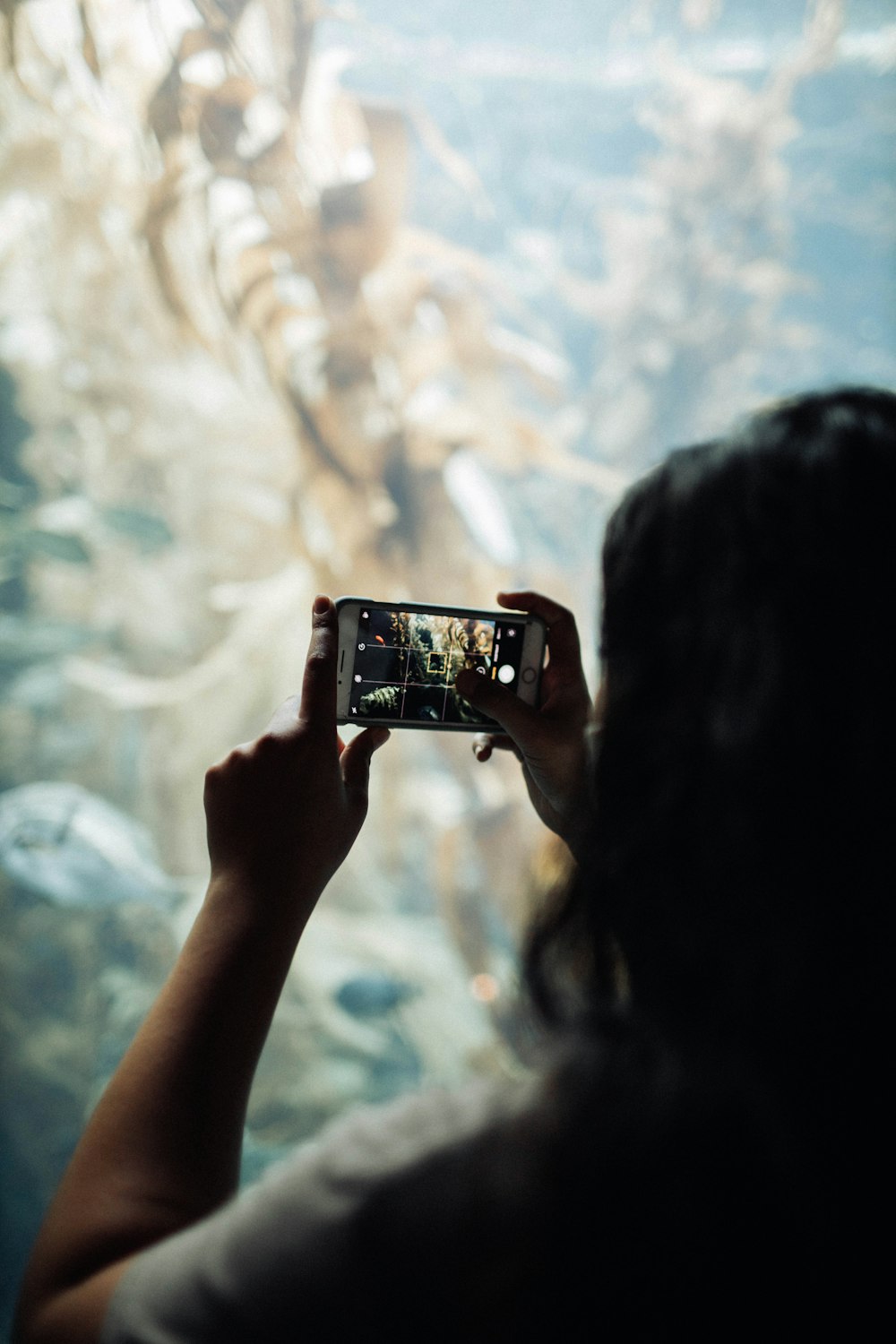 a woman taking a picture of a fish tank