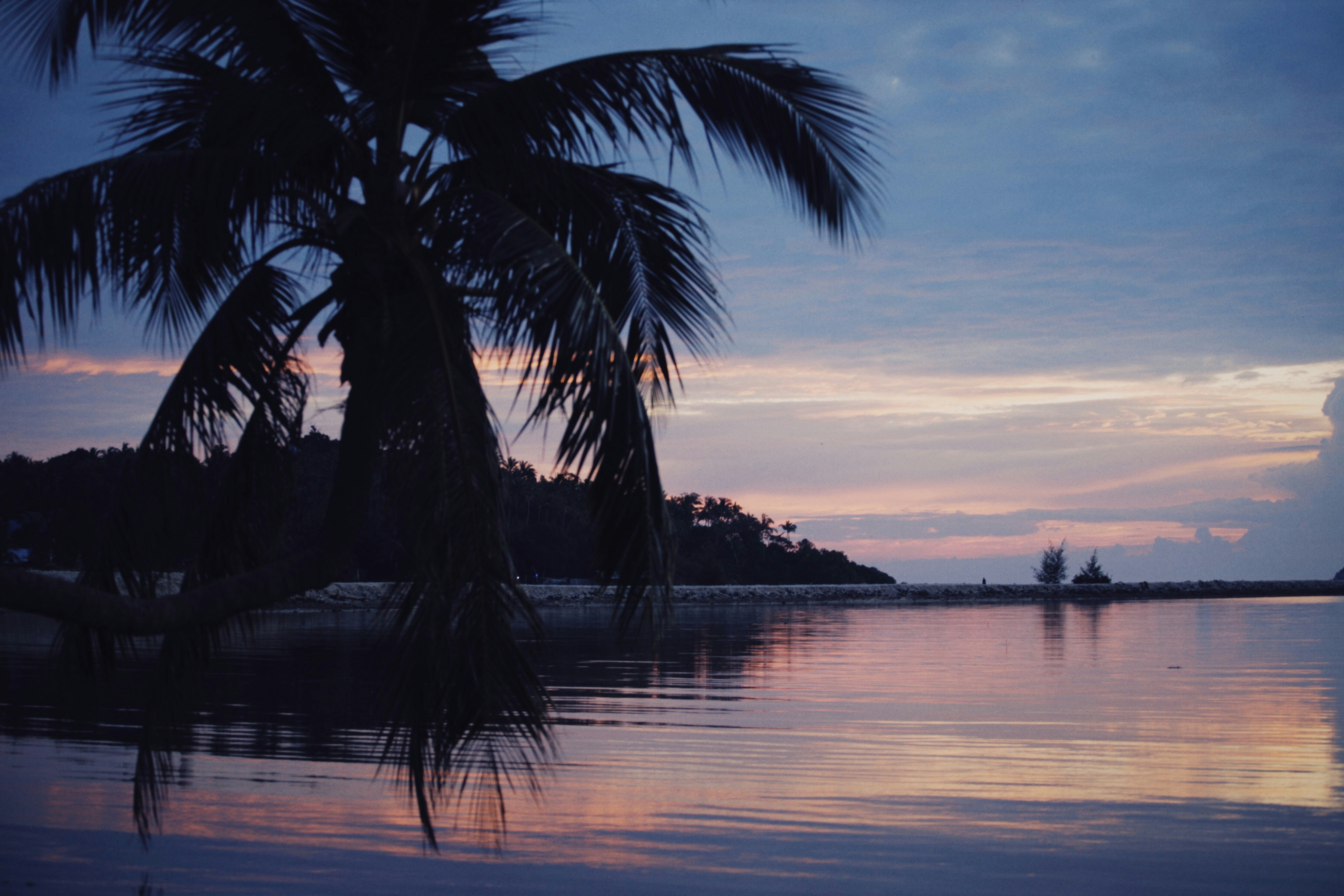 Photo by alexeydemidov