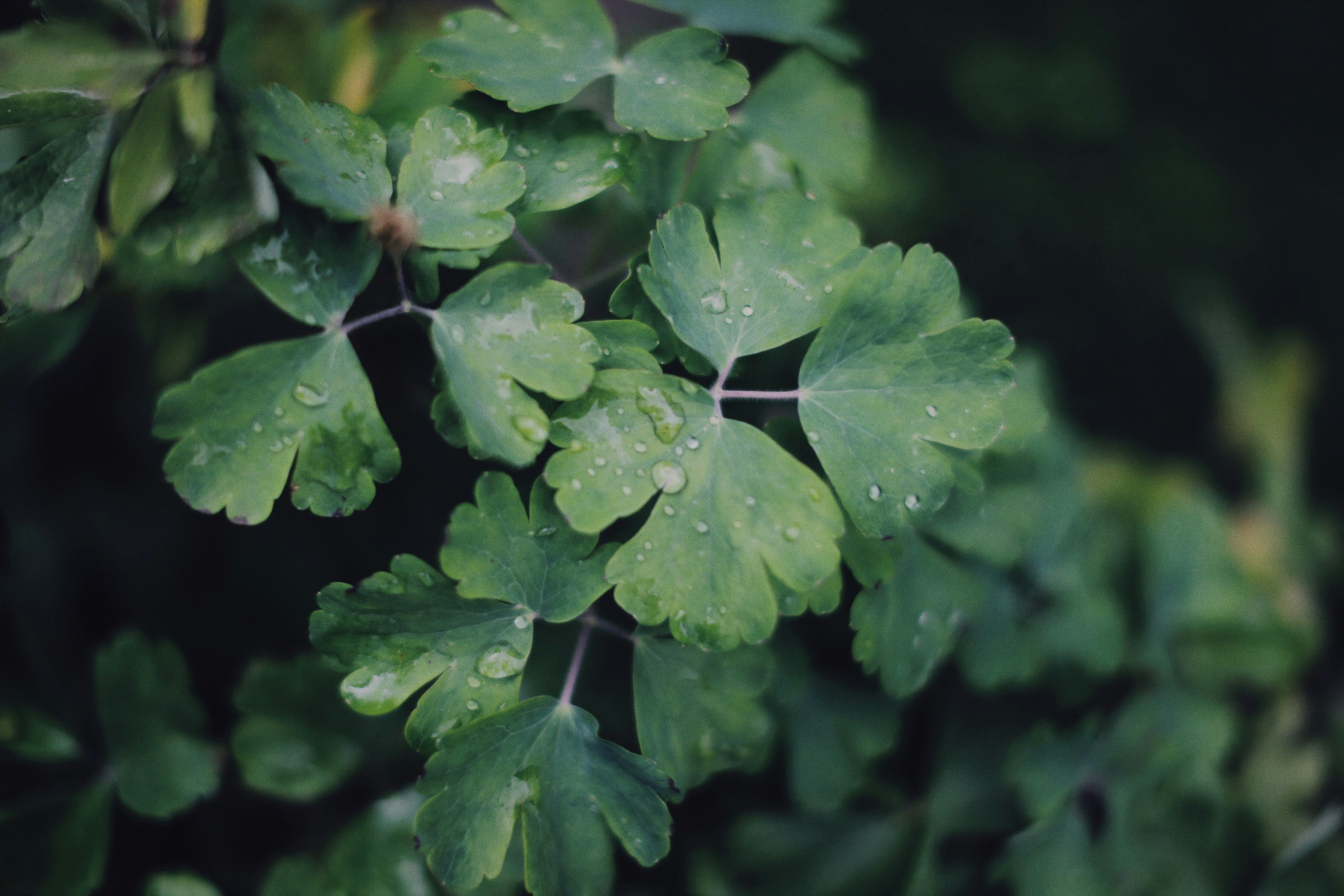 Photo by alexeydemidov