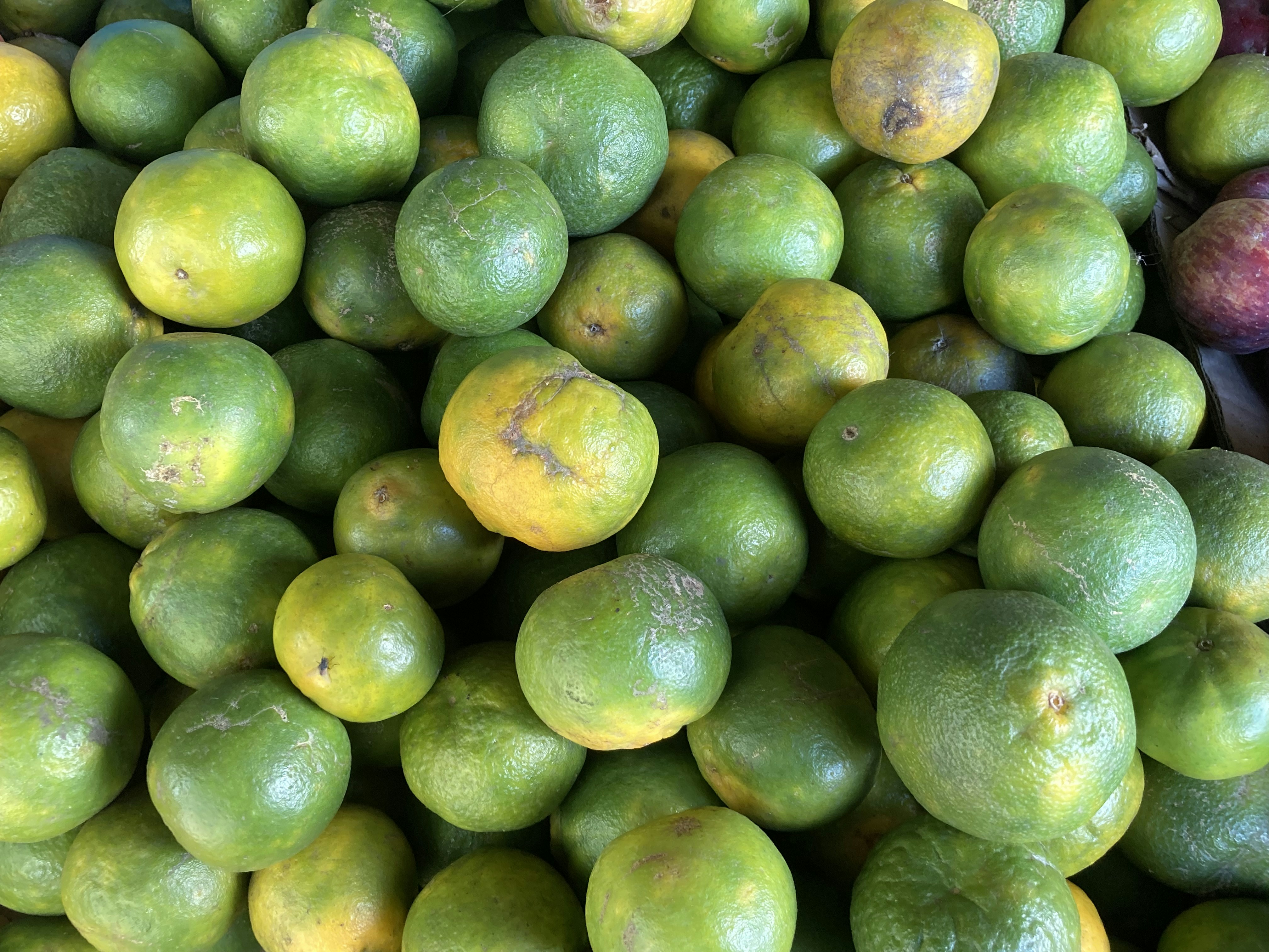 Photo by abhiramxgopan