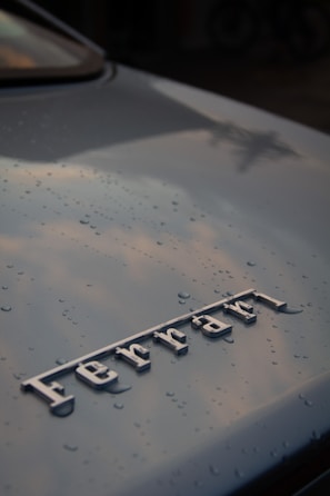 a close up of the name of a car