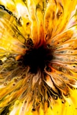 A vibrant yellow and black abstract artwork symbolizing growth.