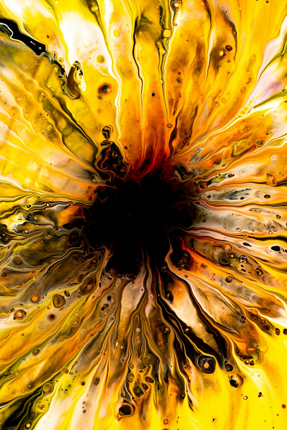 a close up of a yellow and black flower