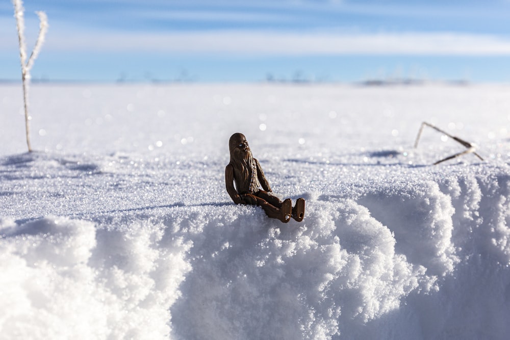 a person sitting in the middle of a snowy field