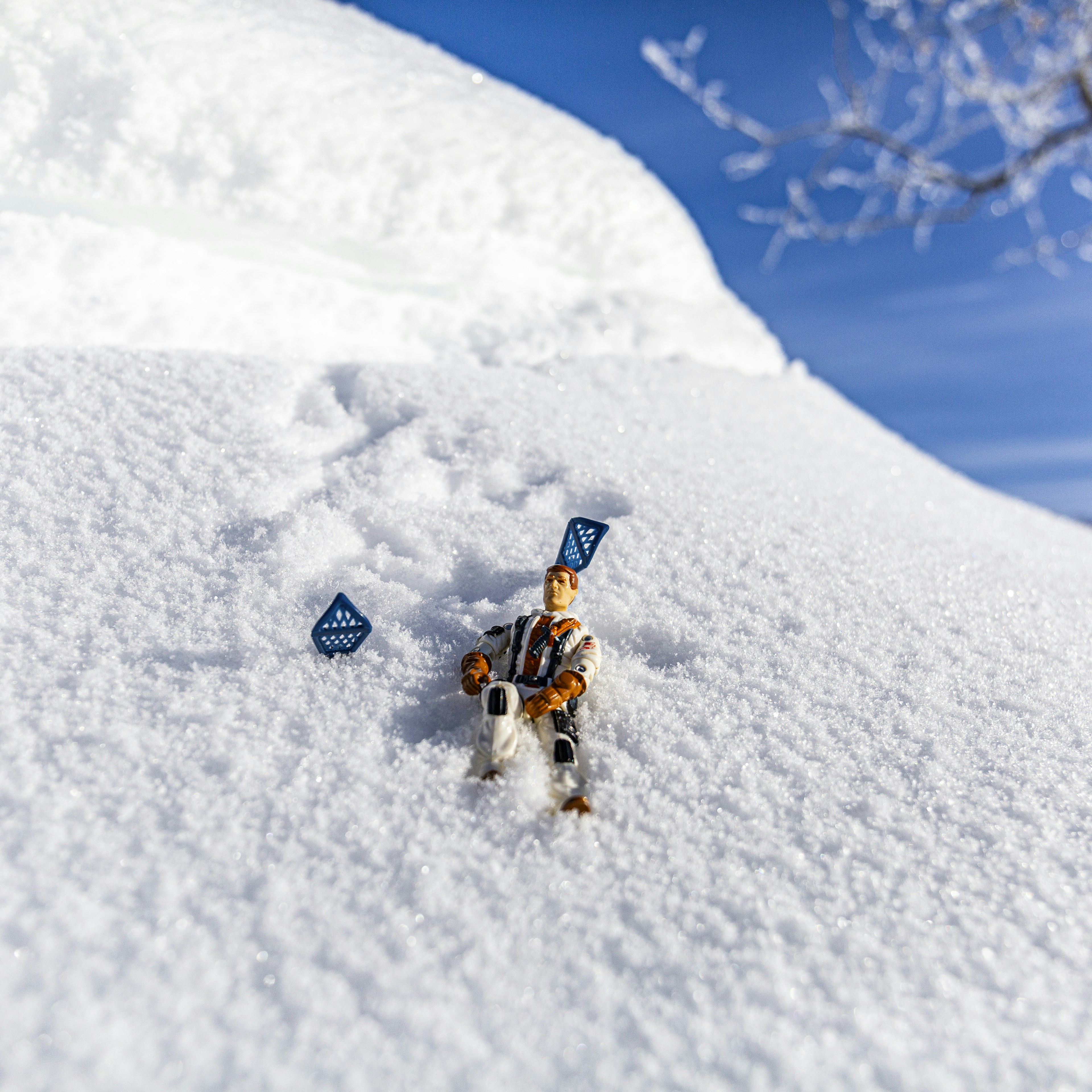 a small toy dog sitting in the snow