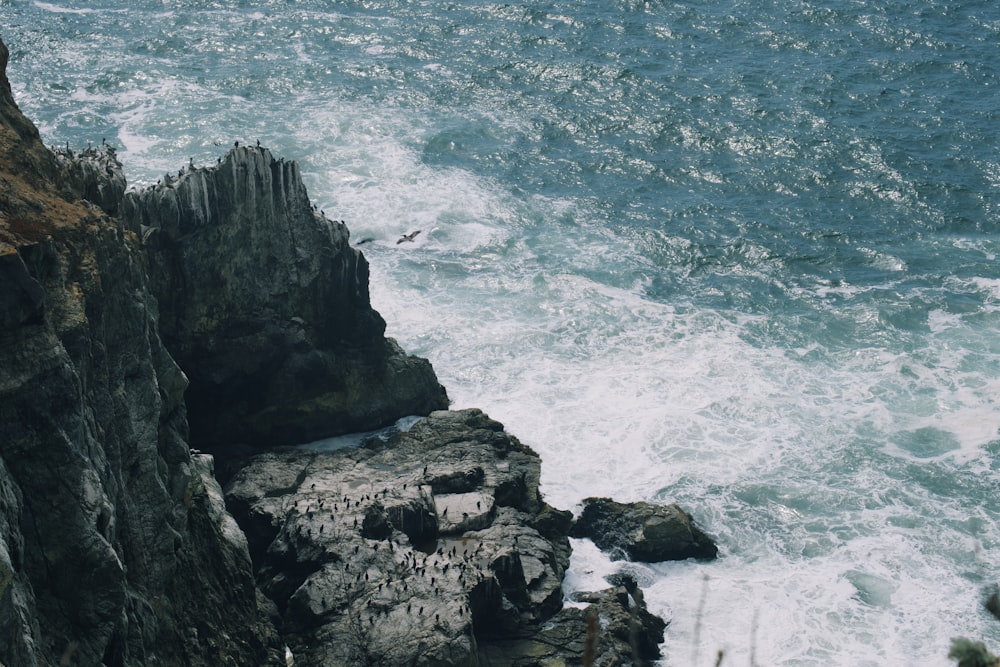 a bird flying over a rocky cliff next to the ocean