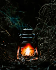 A softly glowing lantern hanging in a twilight garden, symbolizing anticipation.