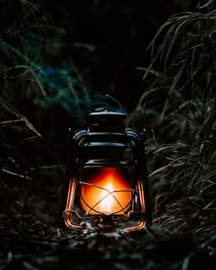 A softly glowing lantern hanging in a dark forest, symbolizing guidance and hope.