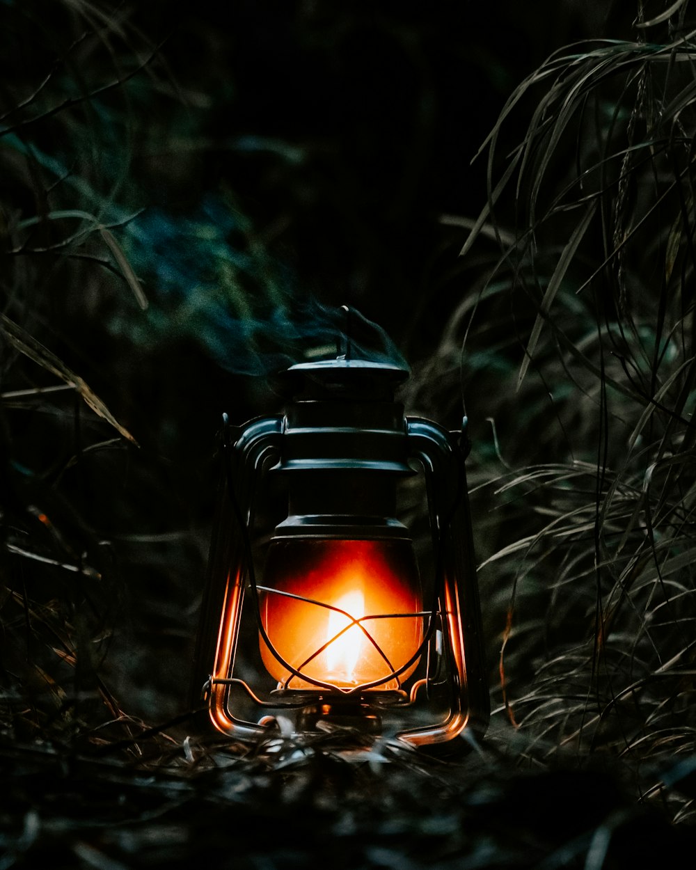 a lit lantern sitting in the middle of a forest