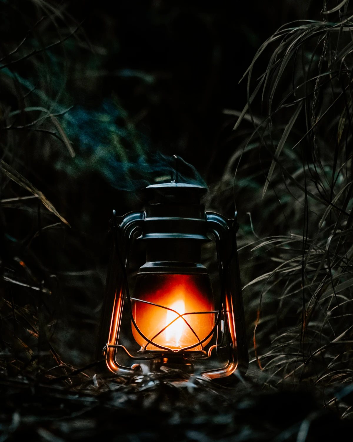 A complete illuminated camping lantern placed safely in a dark forest setting