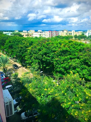 A vibrant cityscape featuring lush green trees in the foreground. In the midground, there are several buildings with colorful facades, giving a sense of urban development. The sky above is partly cloudy, adding depth to the scene. A few vehicles and people are visible on the street, suggesting daily city life.
