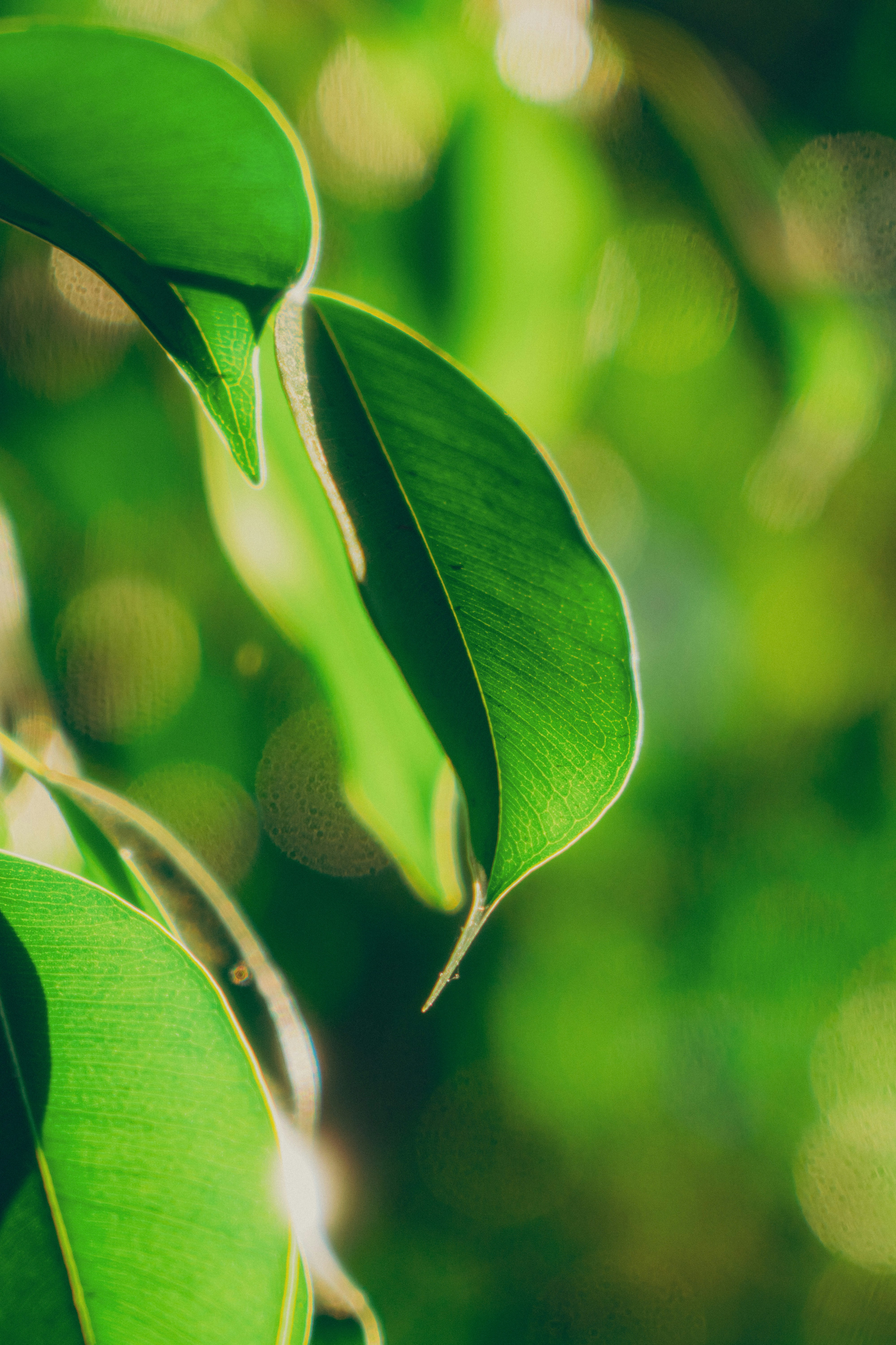 Photo by jeffreykeenan