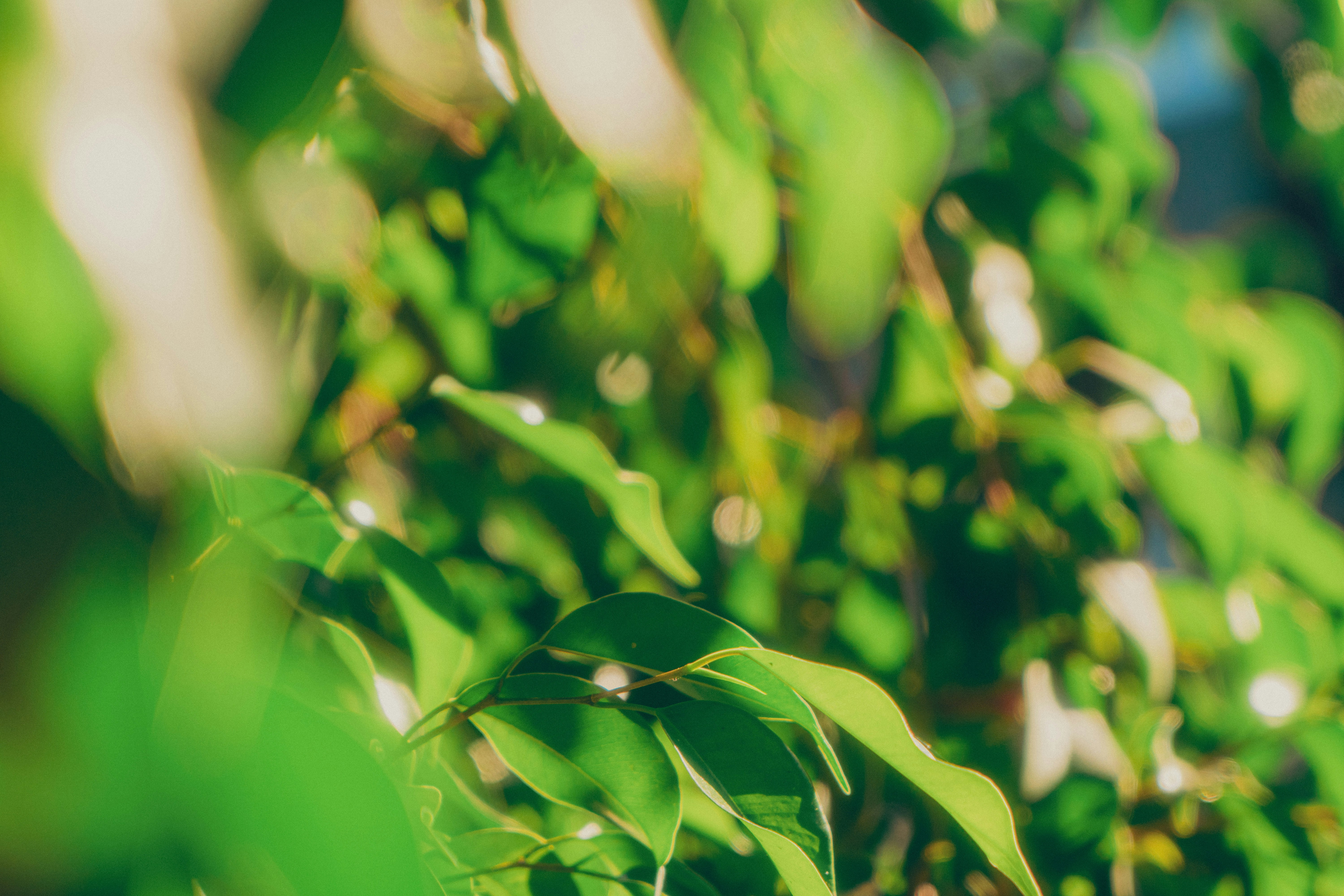 Photo by jeffreykeenan