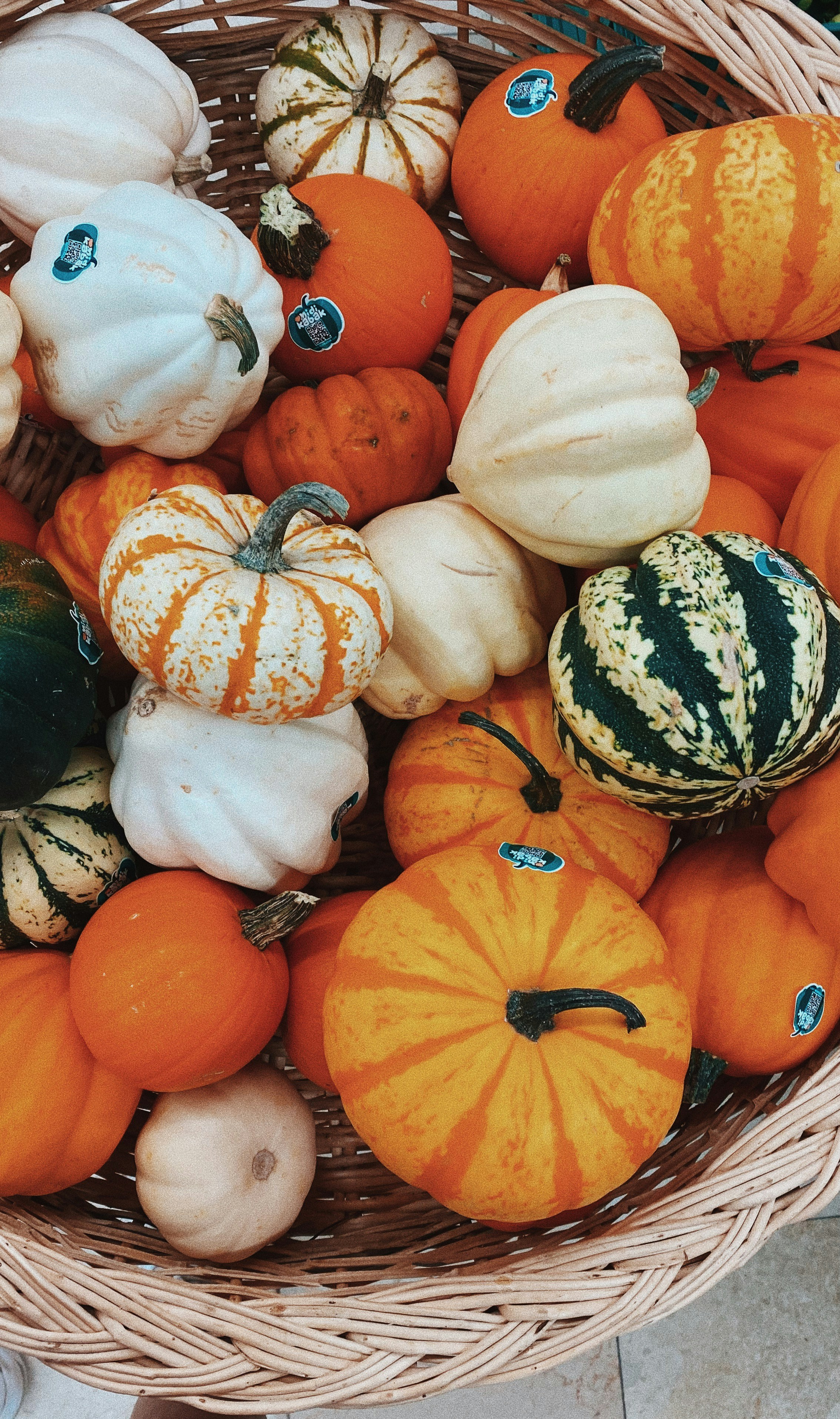 Photo by irmakaydin_3537