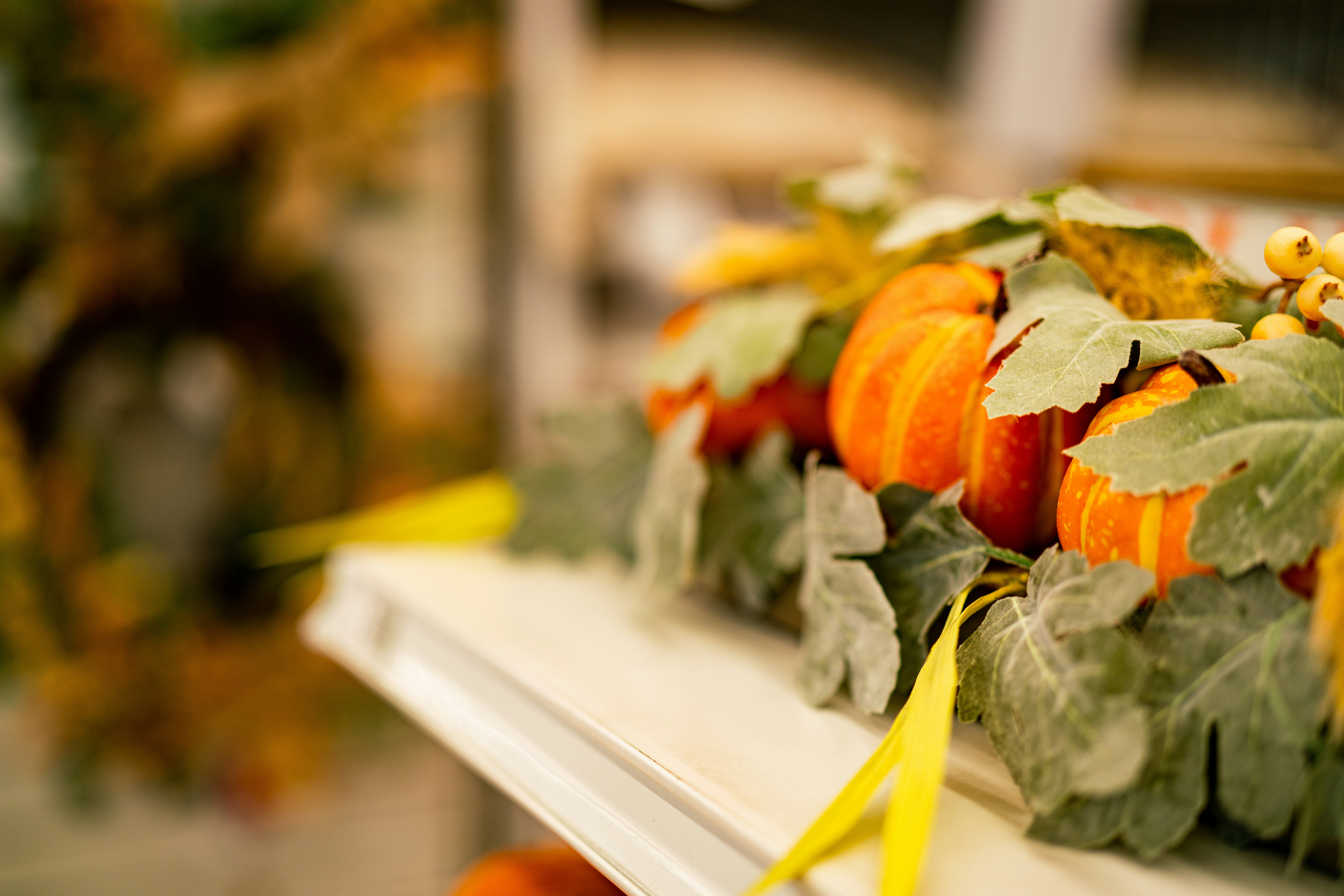 Blossom Bliss Charming Flower Bed Decor Inspirations