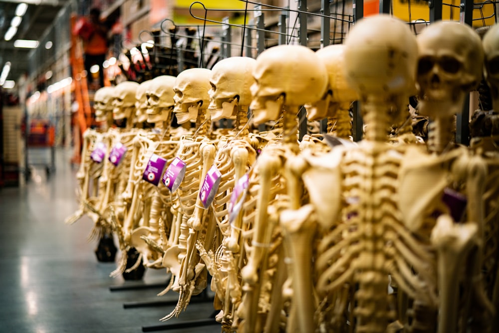 a store filled with lots of fake human skeletons