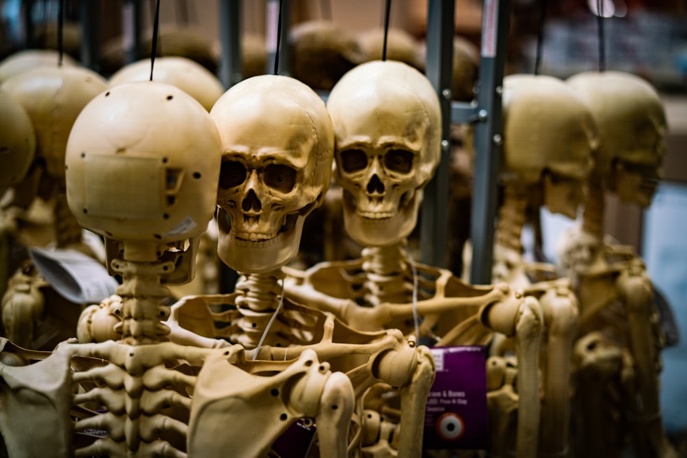 Una exhibición de modelos de esqueletos humanos en una tienda