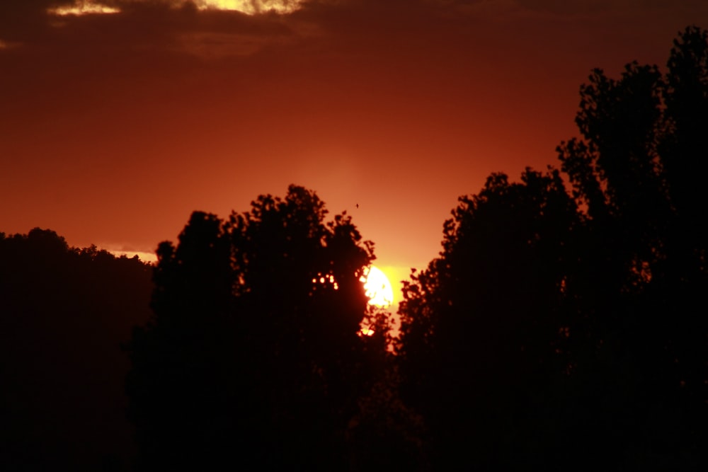 the sun is setting behind some trees