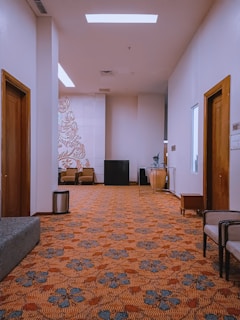 Stylish hallway with a durable, patterned floor covering perfect for high traffic areas.