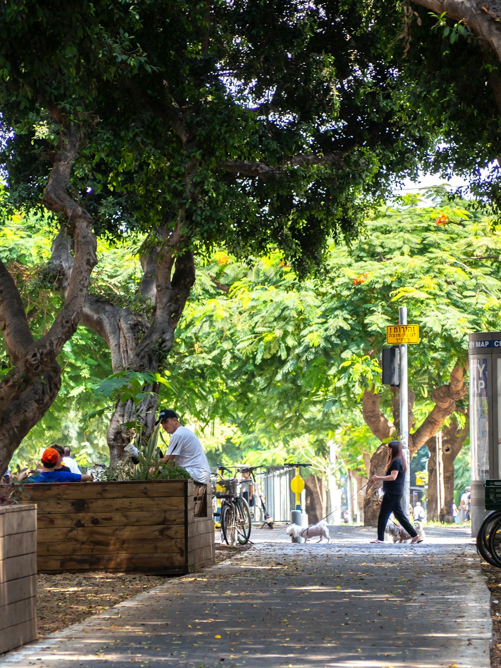 a couple of people walking down a sidewalk next to trees