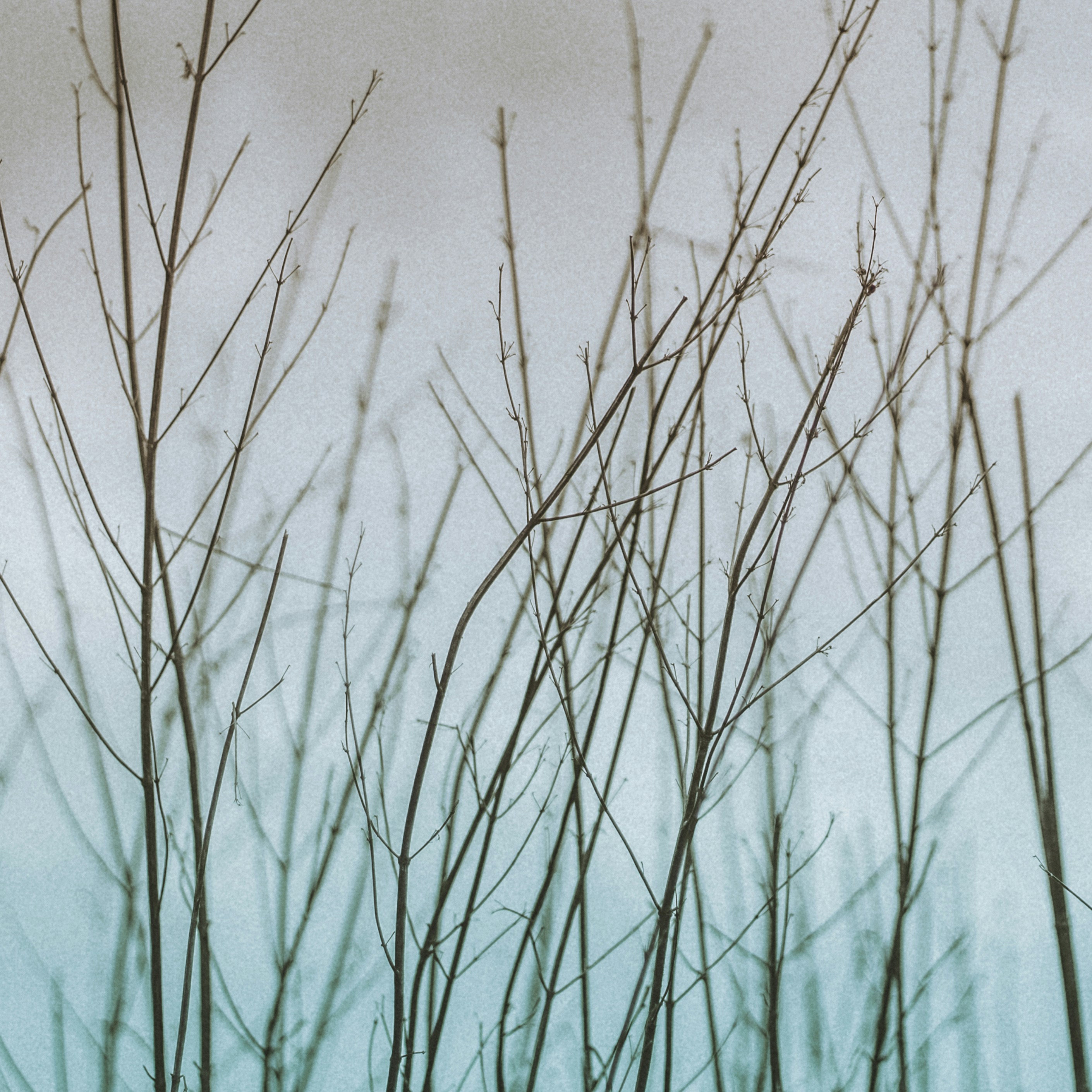 Photo by meliston_pinto