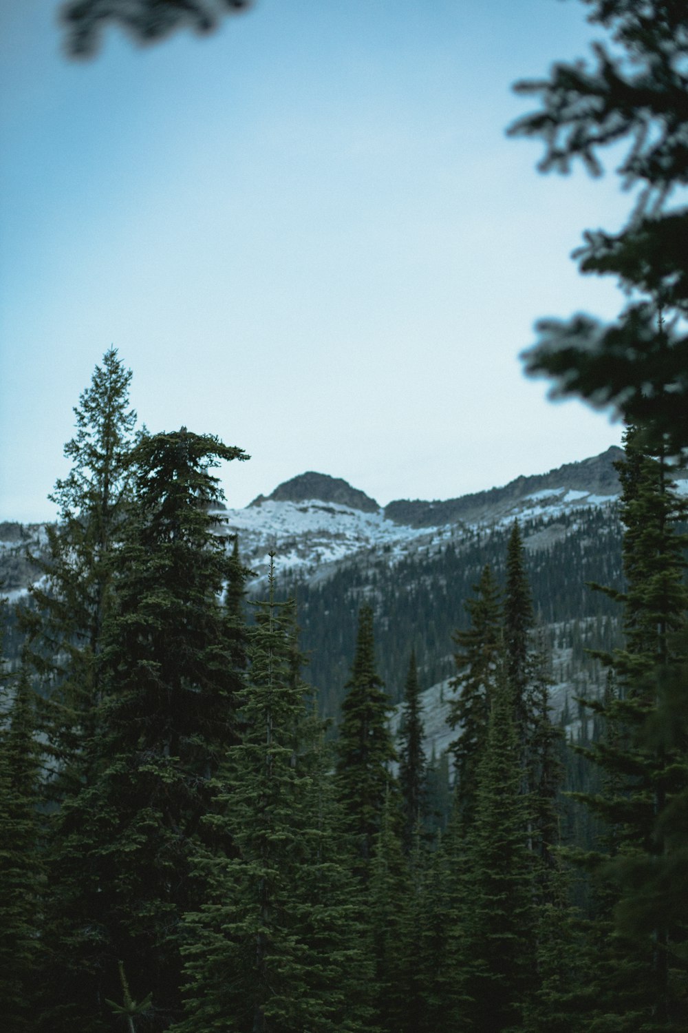 a view of a mountain with trees in the foreground