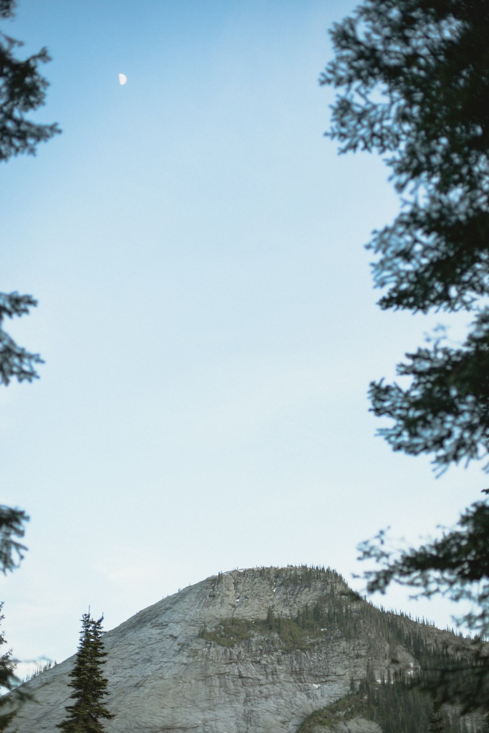 a view of a mountain with a full moon in the sky