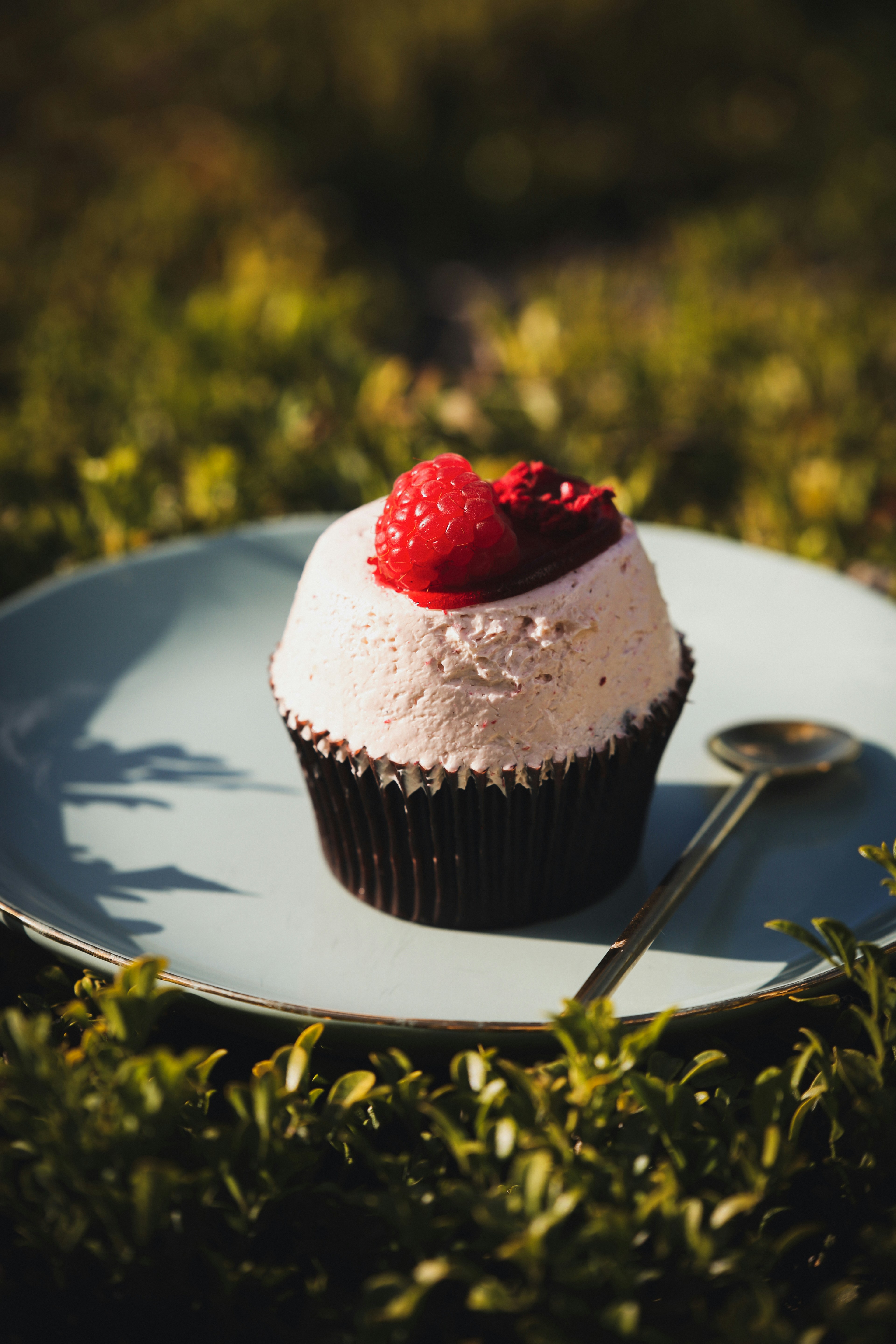 Photo by _carolineattwood