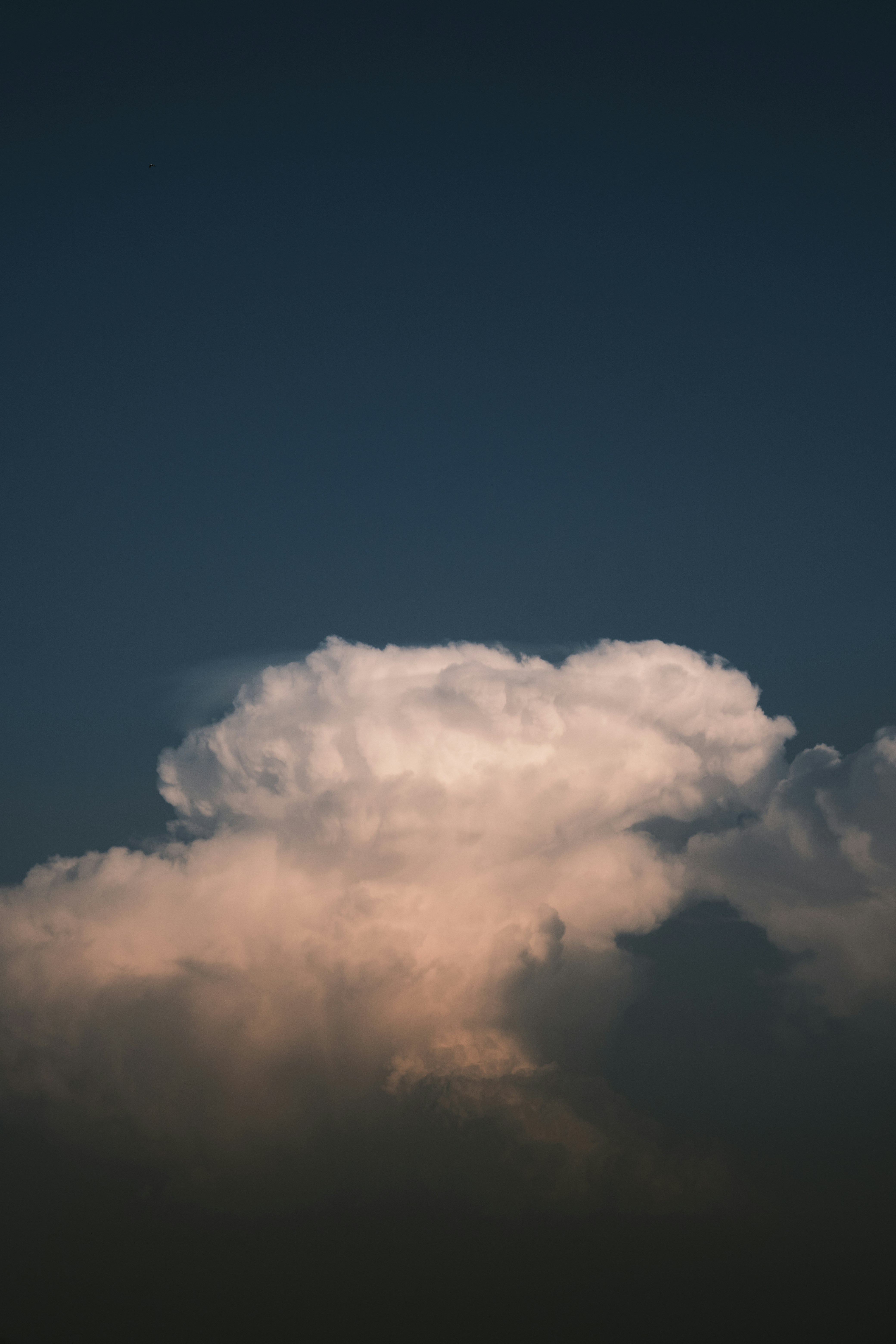 Photo by lazyeyedone