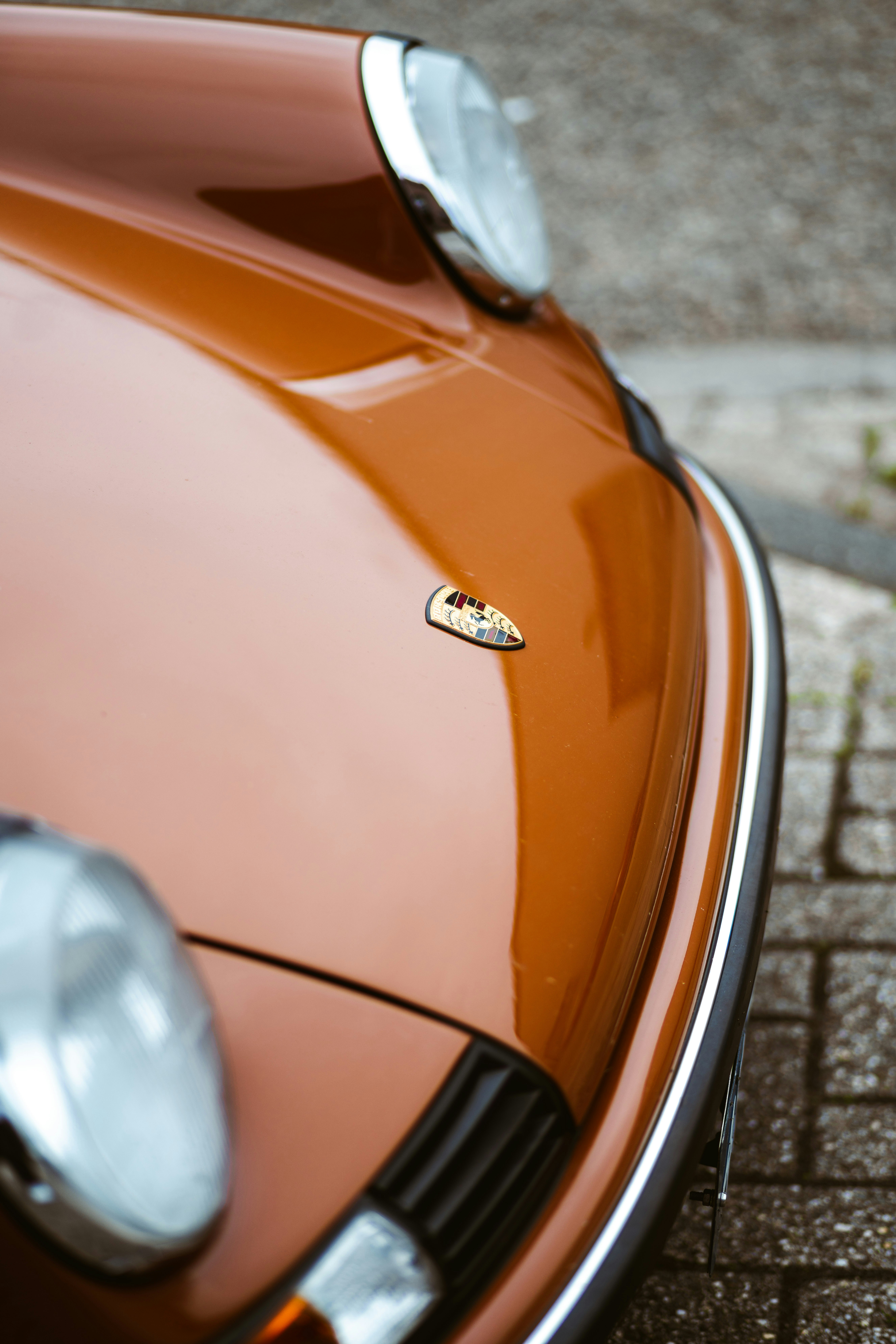 Photo by brunovdkraan