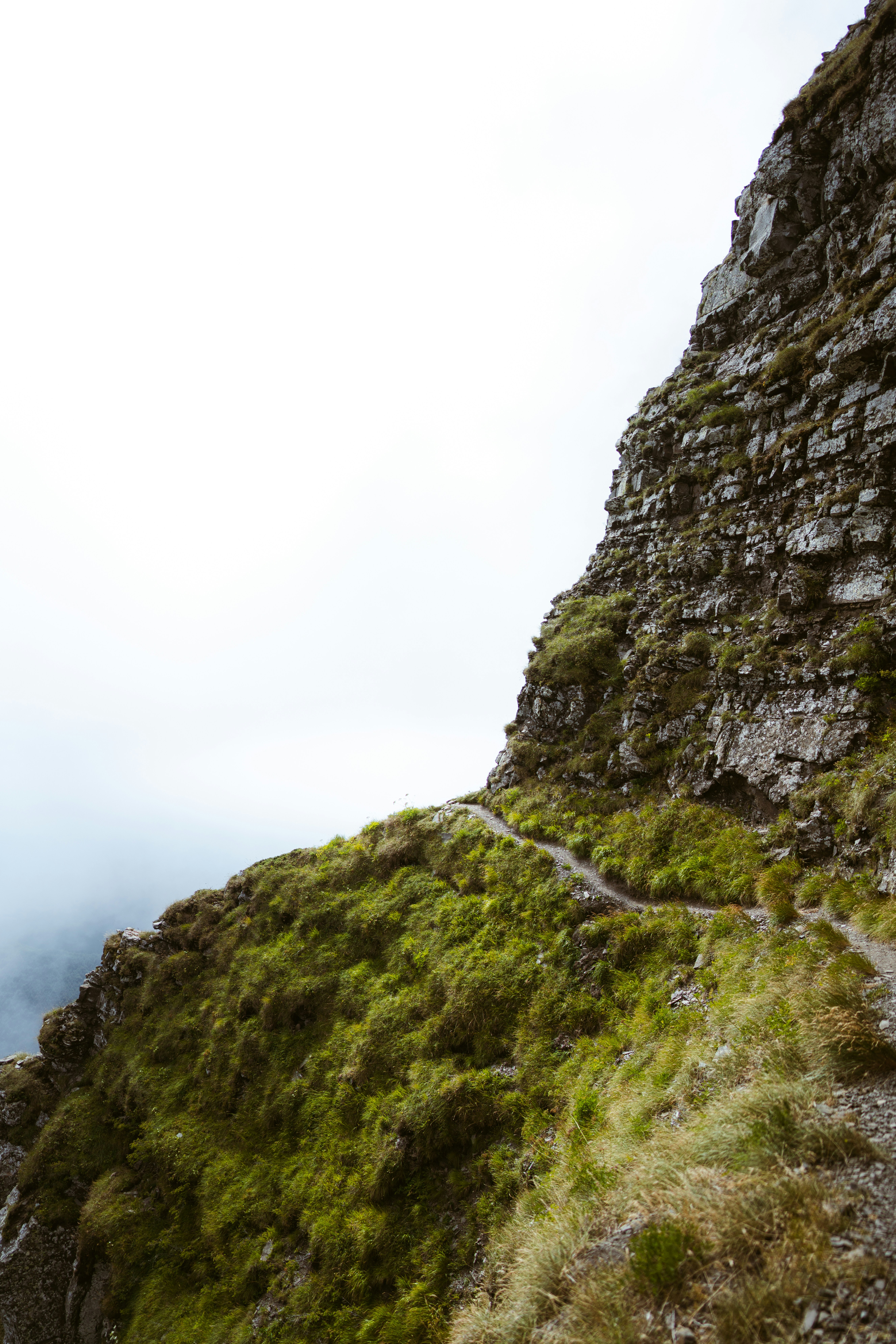 Photo by brunovdkraan