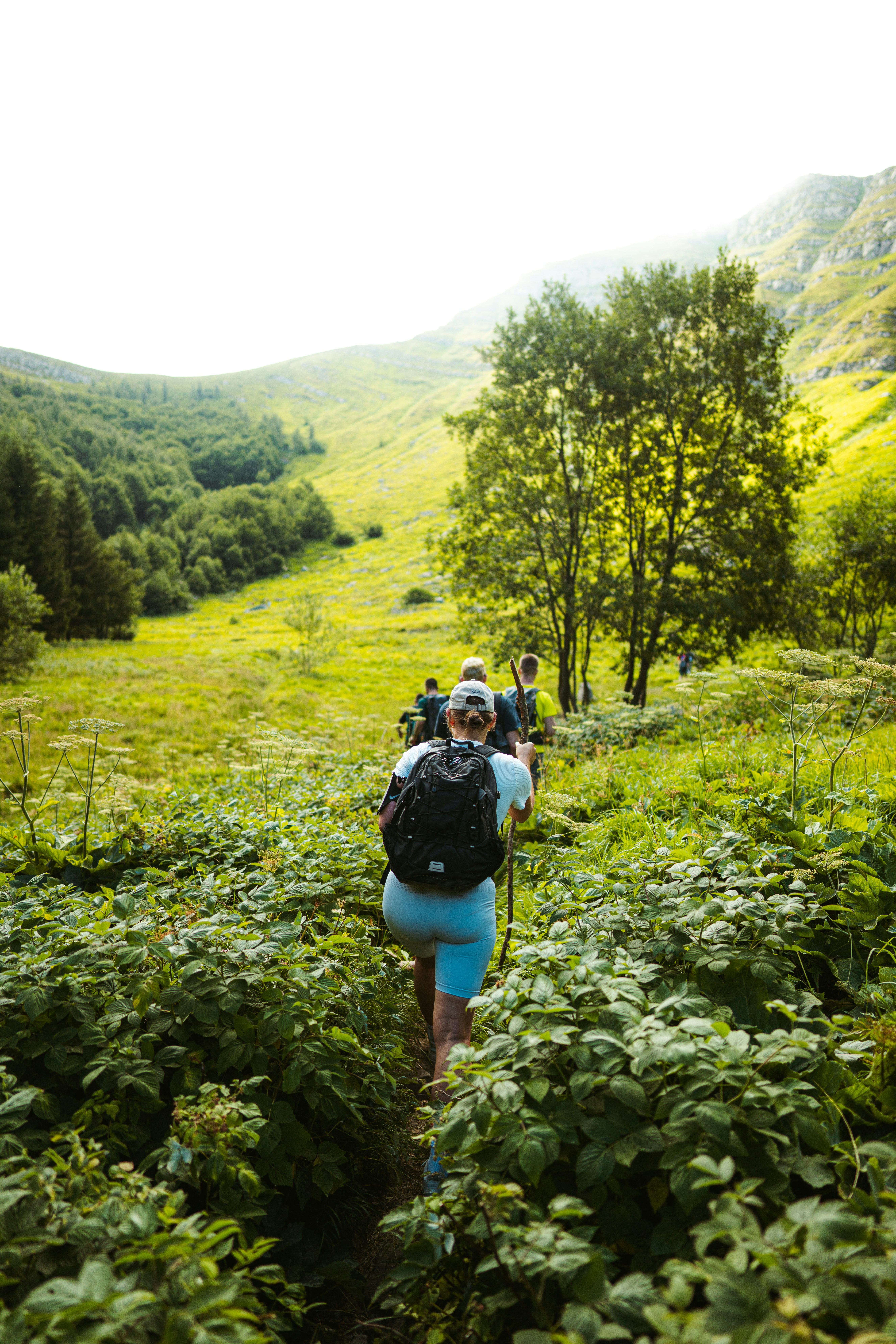 Photo by brunovdkraan