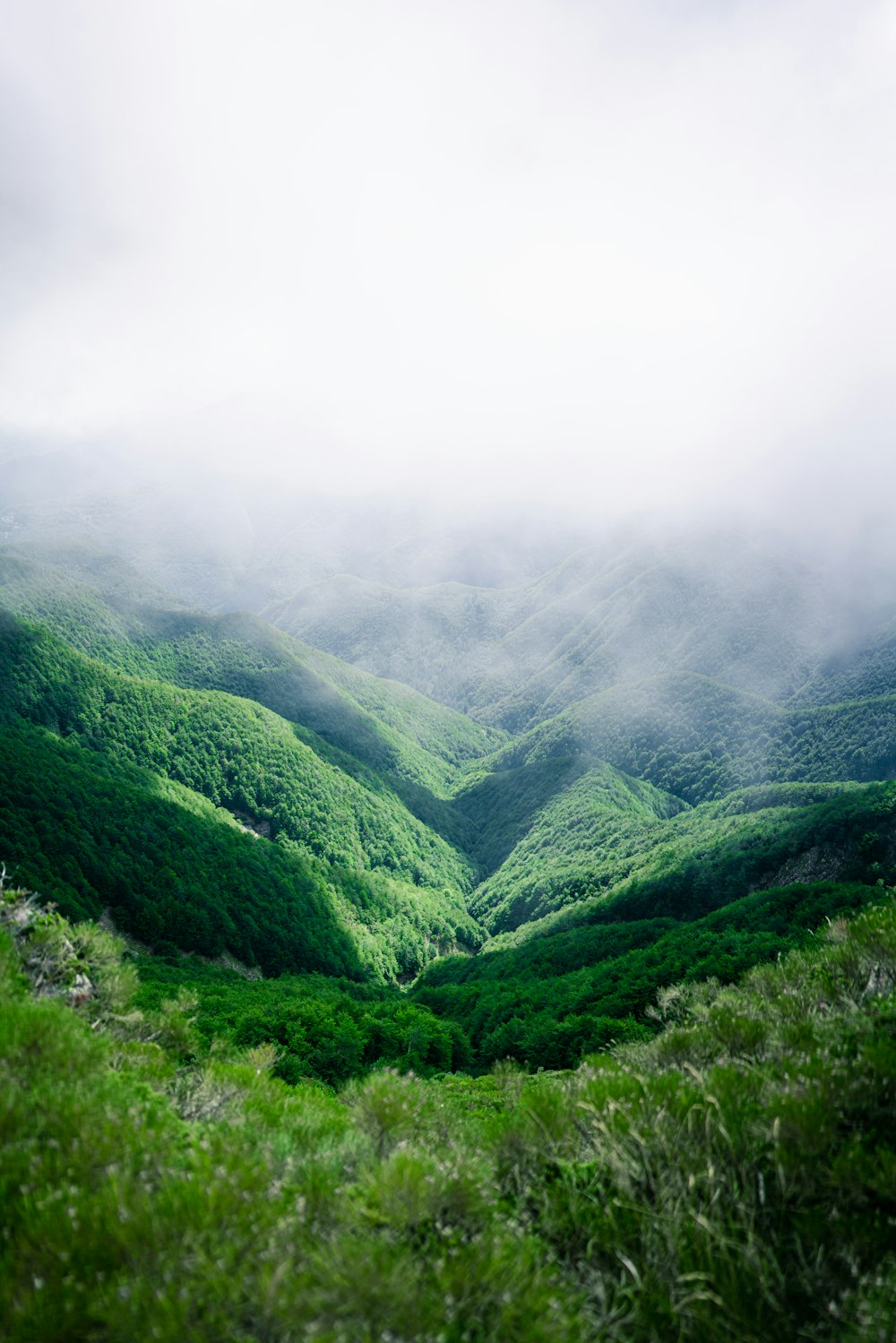 a view of a lush green valley in the mountains