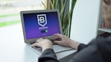 A person is typing on a laptop with a screen displaying a blockchain logo and the word ‘connecting’. The background features a blurred plant and some shelves.