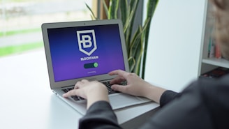 A person is typing on a laptop with a screen displaying a blockchain logo and the word ‘connecting’. The background features a blurred plant and some shelves.