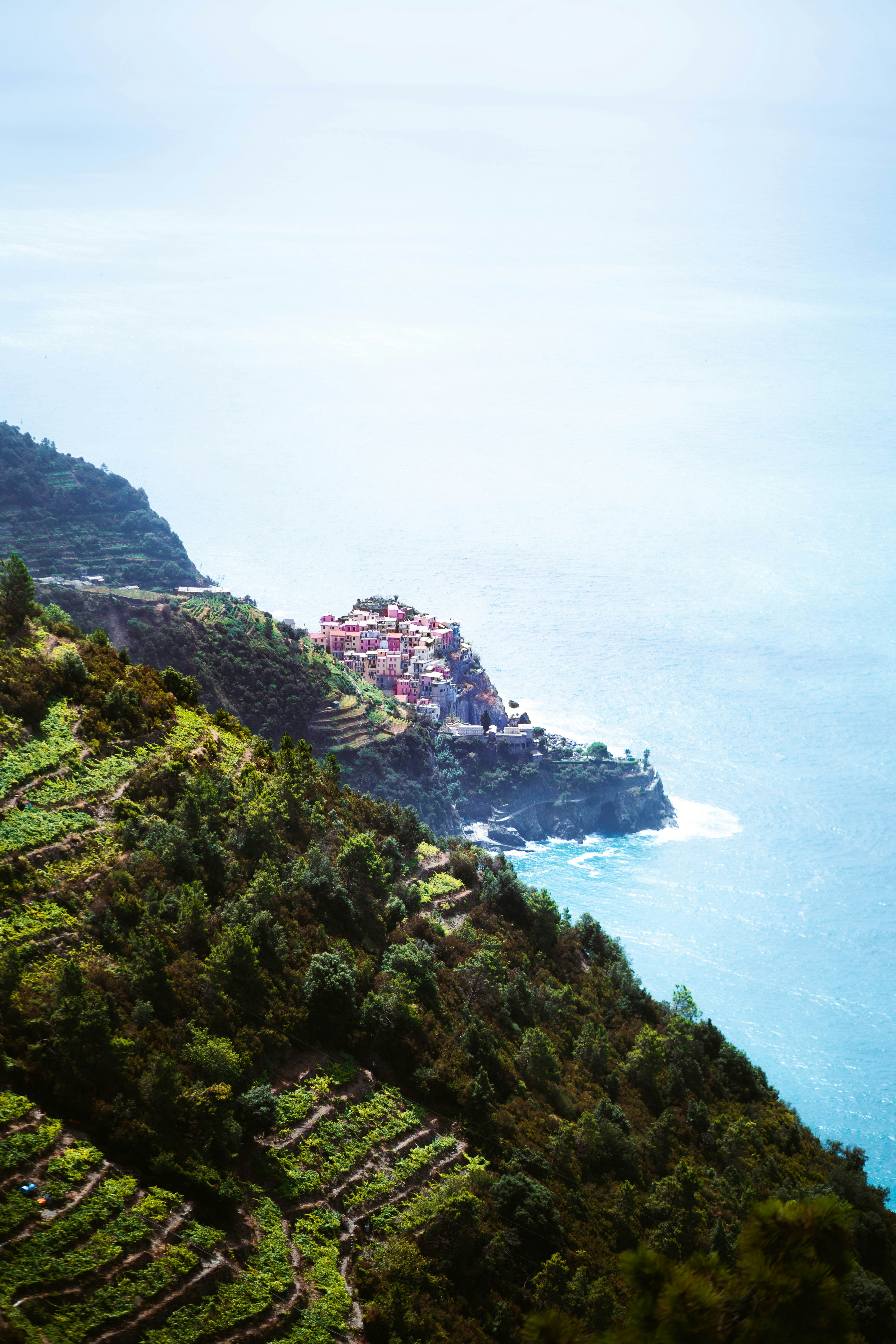 Photo by brunovdkraan