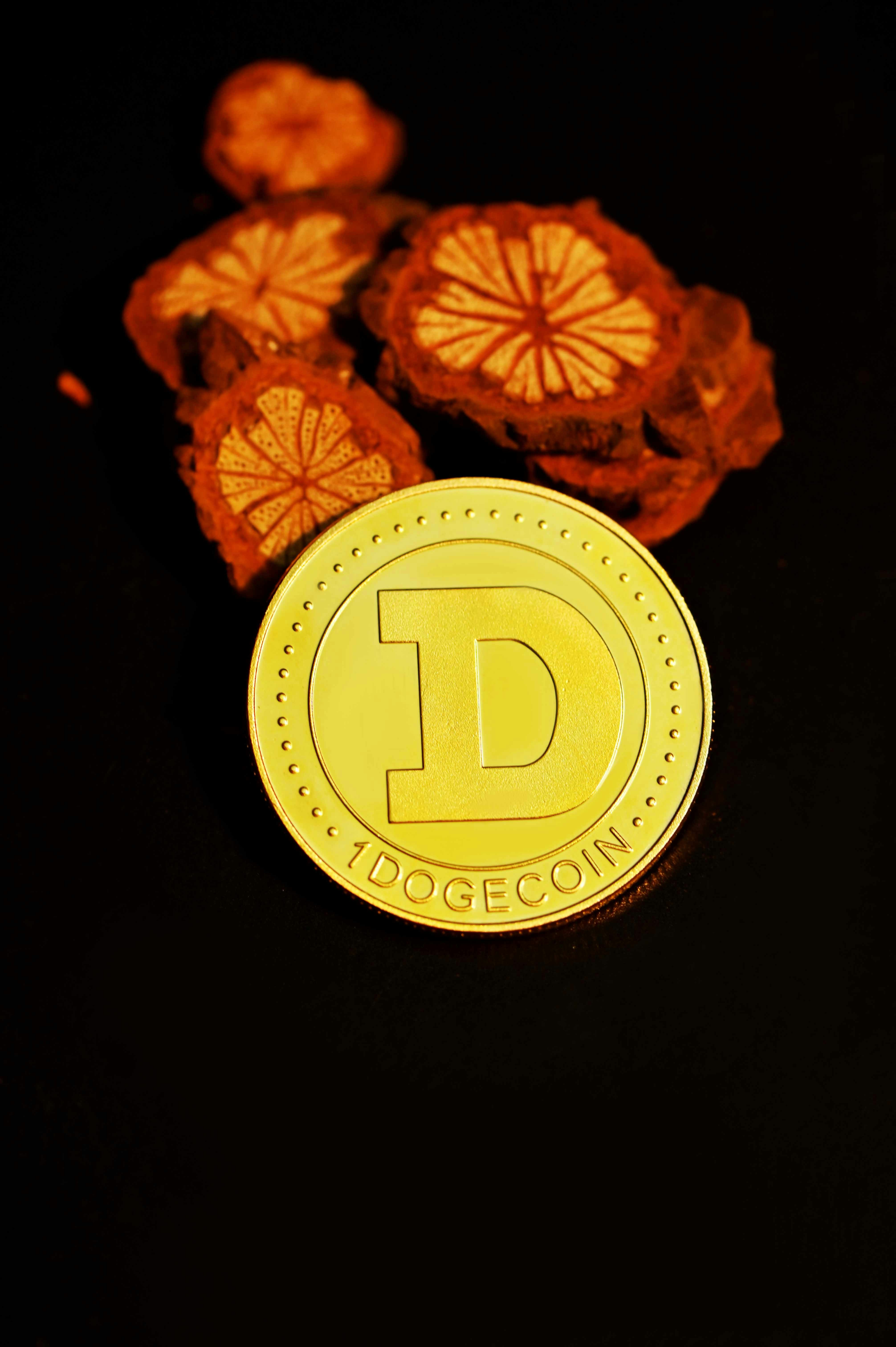 A Dogecoin placed with dried flowers